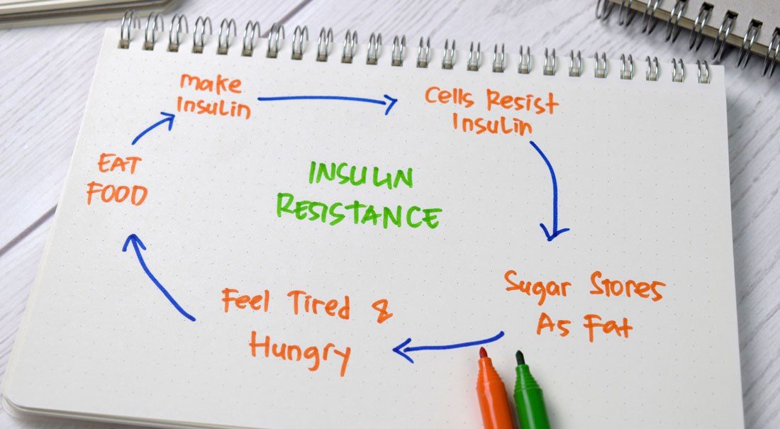 Insulin resistance cycle